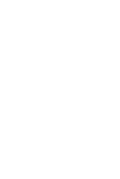 Pin Icon